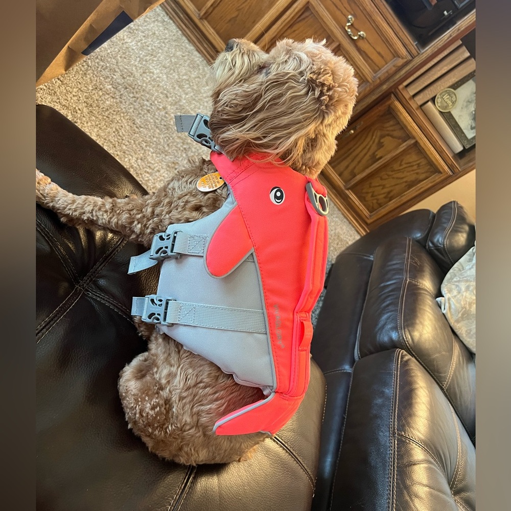 Small doggy Vivaglory Life Flotation jacket